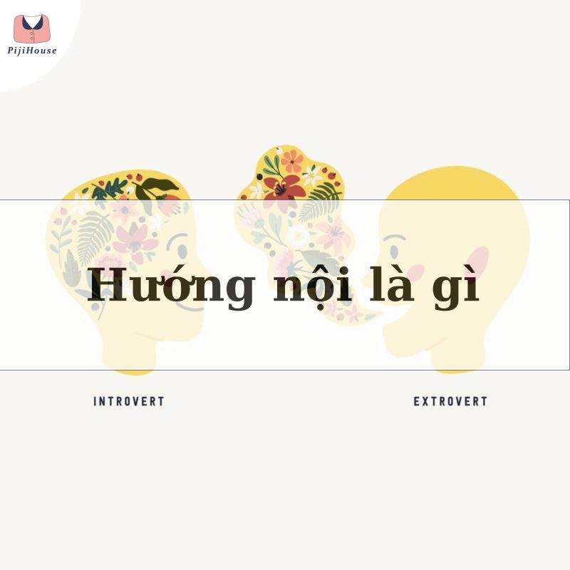 hướng nội là gì